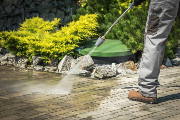 Best Window and Screen Pressure Cleaning in Hermantown, MN