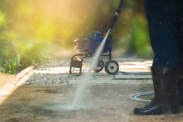Best Soft Washing for Delicate Surfaces in Hermantown, MN